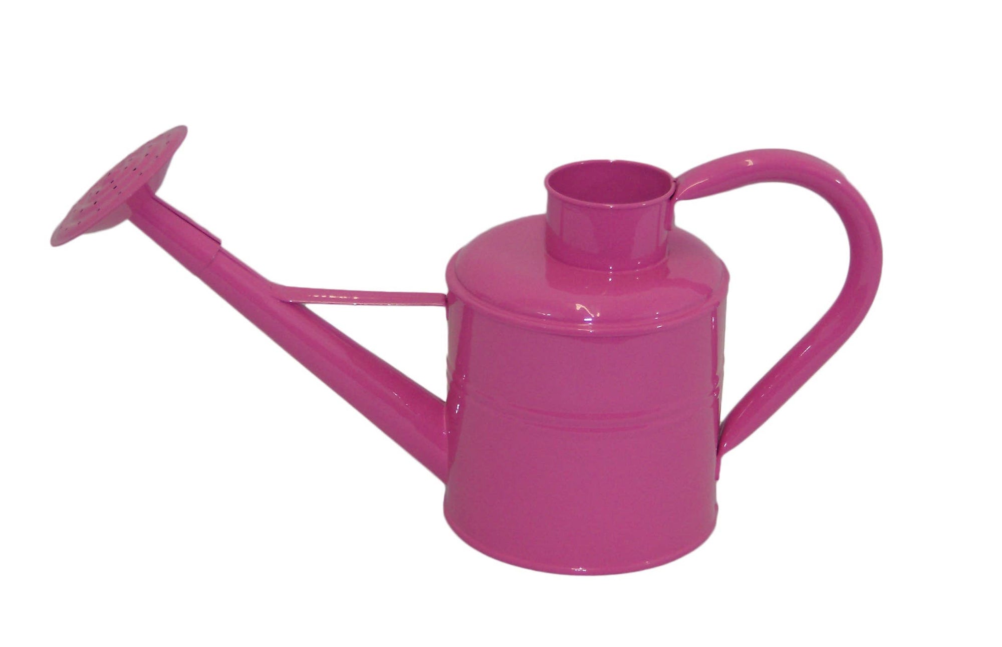 Watering Can with Small Opening